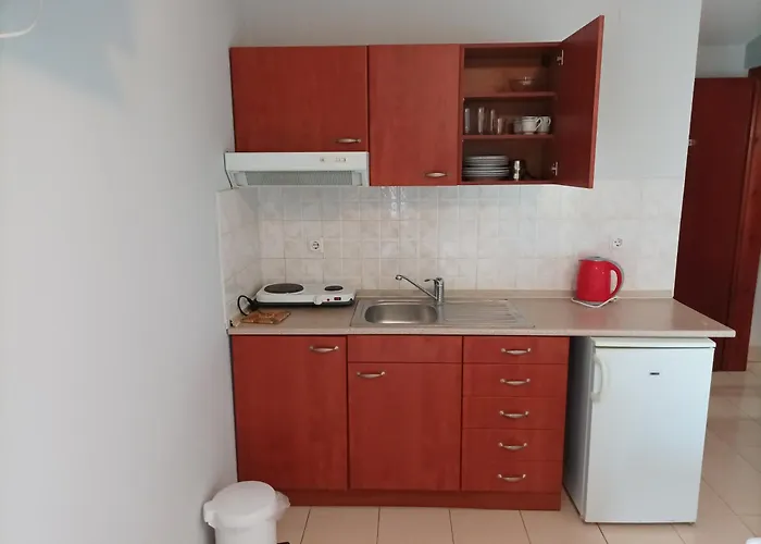 Guest house Fallias 3*