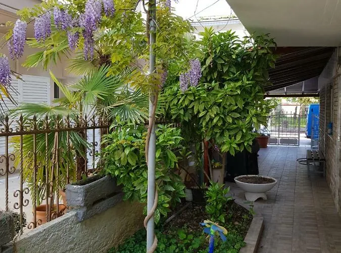 Fallias Guest house 3*