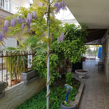 Fallias Pensjonat 3*